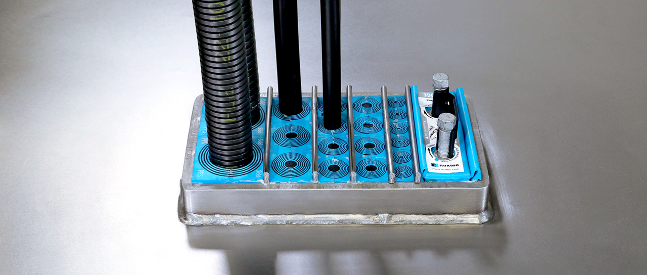 用于轨道车辆的新密封模块